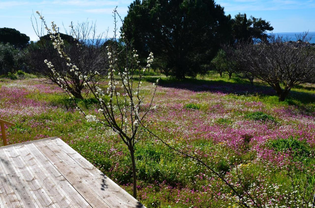 Villa Aliki Petrochori  外观 照片