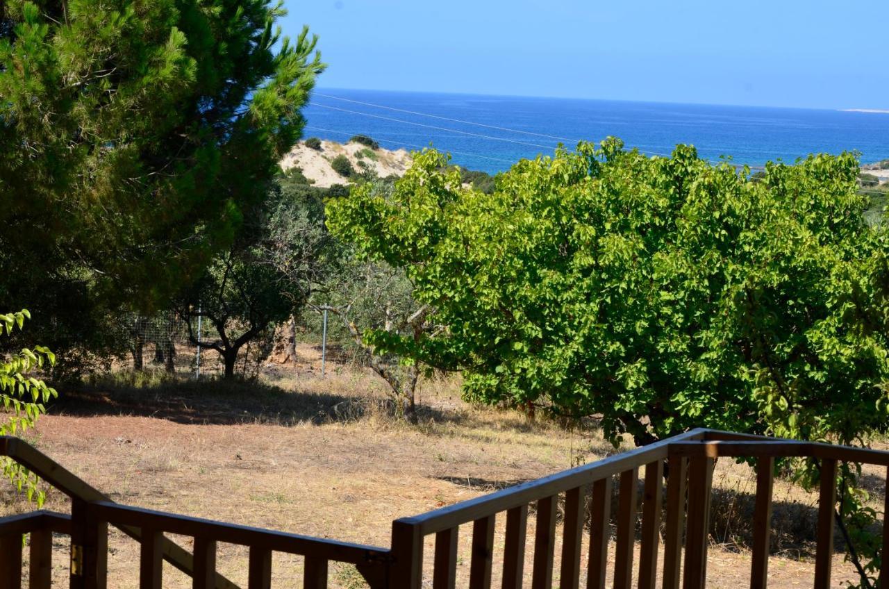 Villa Aliki Petrochori  外观 照片